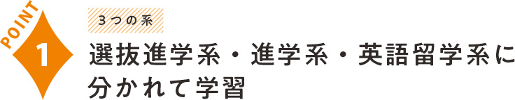 選抜進学系・進学系・英語留学系に分かれて学習