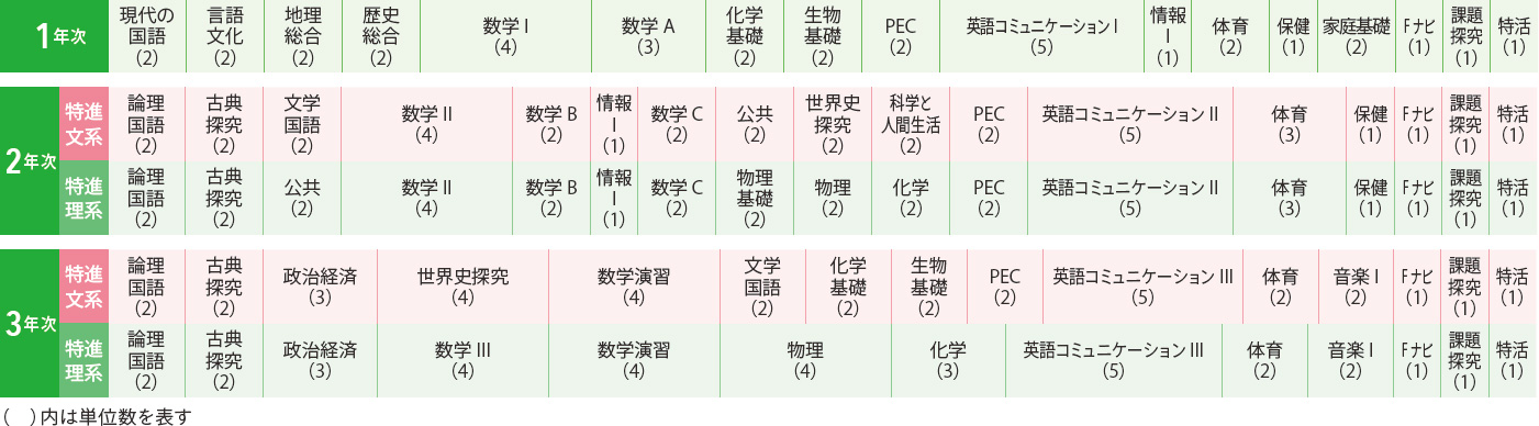 内容充実のカリキュラム