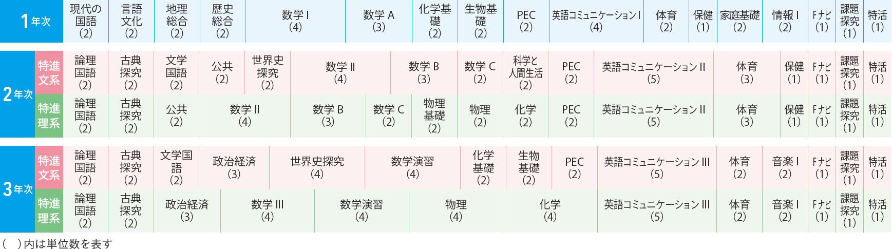 内容充実のカリキュラム