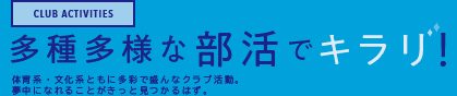 多種多様な部活でキラリ!